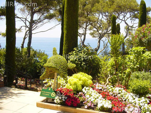 Grand-Hotel du Cap-Ferrat 20